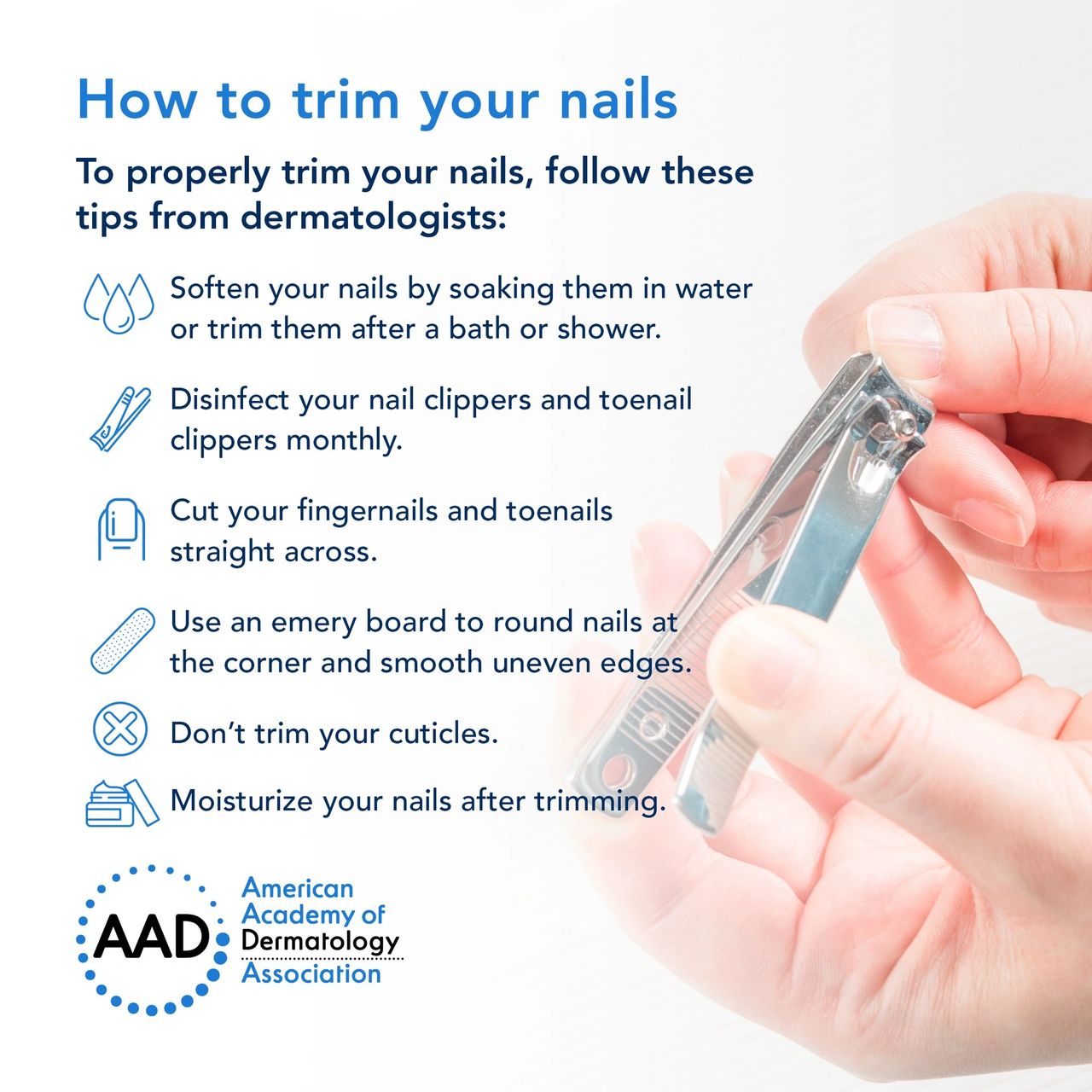 Featured image for article: How to trim your nails